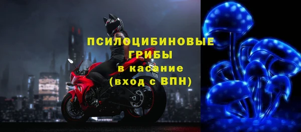 СК Арсеньев