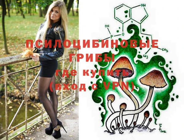 амф Аркадак